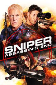 Sniper: Assassin’s End (2020) BluRay ORG. [Dual Audio] [Hindi or English] 480p 720p 1080p