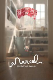 Marcel the Shell with Shoes On [2021] Movie BluRay [Dual Audio] [Hindi Eng] 480p 720p 1080p 2160p