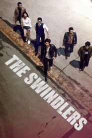 The Swindlers [2017] Movie BluRay [Dual Audio] [Hindi Korean] 480p 720p 1080p