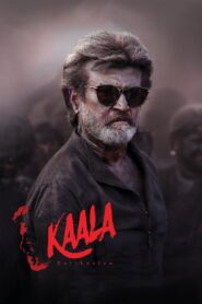 Kaala [2018] WebRip South Movie ORG. [Dual Audio] [Hindi or Tamil] 480p 720p 1080p