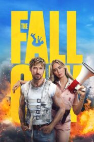 The Fall Guy (2024) Movie AMZN WebRip [Dual Audio] [Hindi-Eng] 480p 720p 1080p 2160p
