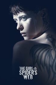 The Girl in the Spider’s Web (2018) Movie BluRay [Dual Audio] [Hindi-Eng] 480p 720p 1080p 2160p