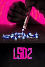 LSD 2: Love, Sex aur Dhokha 2 (2024) Hindi WebRip [Full Bollywood Movie] [2.2GB]