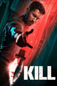 Kill (2024) [Hindi Movie] WebRip 480p 720p 1080p 2160p