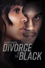 Tyler Perry’s Divorce in the Black (2024) Movie WebRip [Dual Audio] [Hindi-Eng] 480p 720p 1080p 2160p