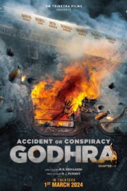 Accident or Conspiracy: Godhra (2024) Hindi Movie HDTS 480p 720p 1080p