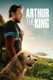 Arthur the King (2024) Movie BluRay [Dual Audio] [Hindi Eng] 480p 720p 1080p